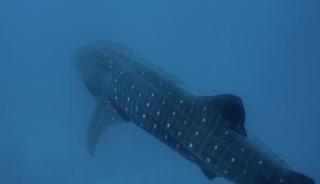 c12b2aba-45d3-4c94-b9a7-da6a6c090281