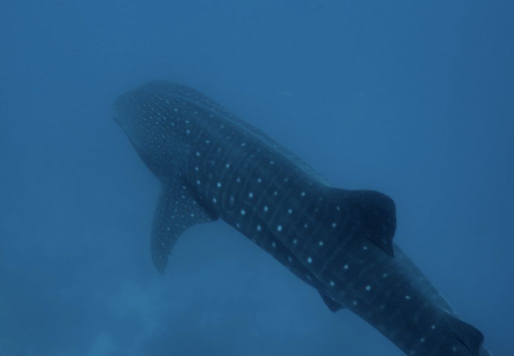 c12b2aba-45d3-4c94-b9a7-da6a6c090281