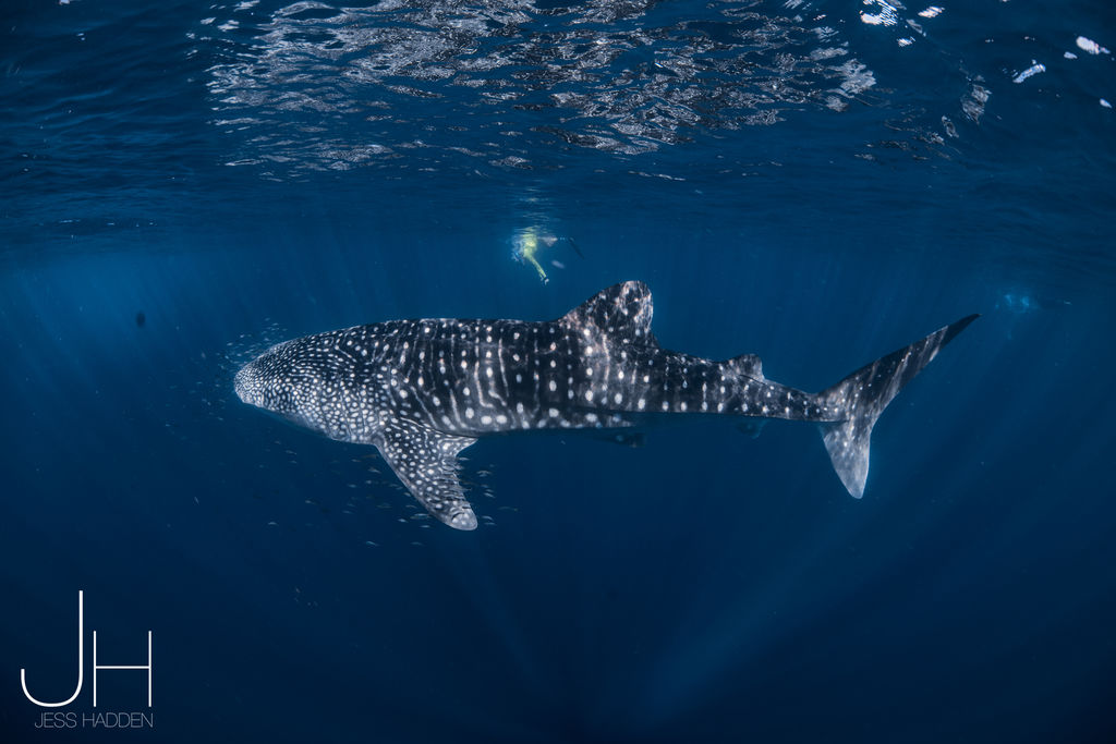 7b40b306-8211-4e54-9b5f-62c301952331