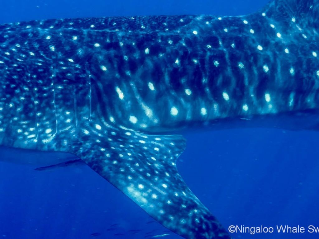 609d4674-130e-488a-bb55-46e3ea0a95d4