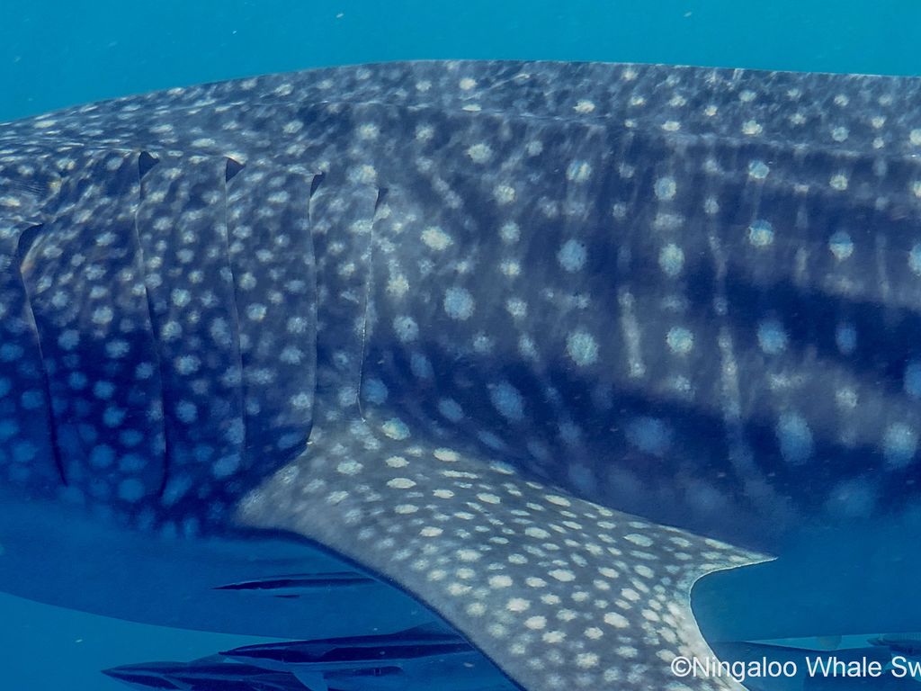 5484227b-94f9-4328-bf60-33688b4e7e54