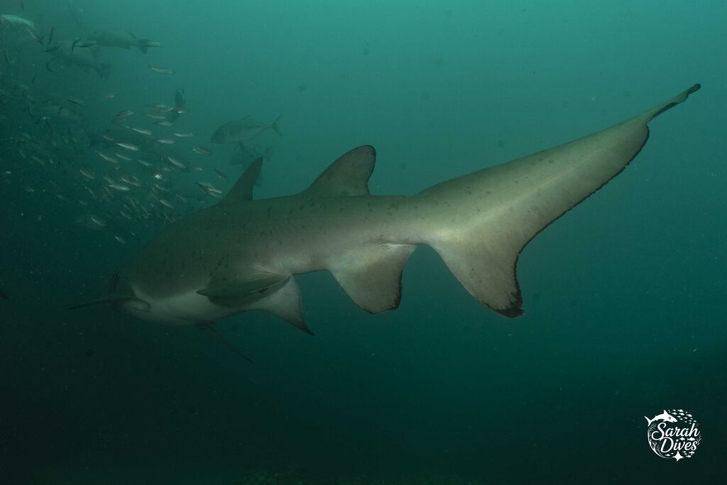 d4650413-3983-4b24-acce-fd445df38959