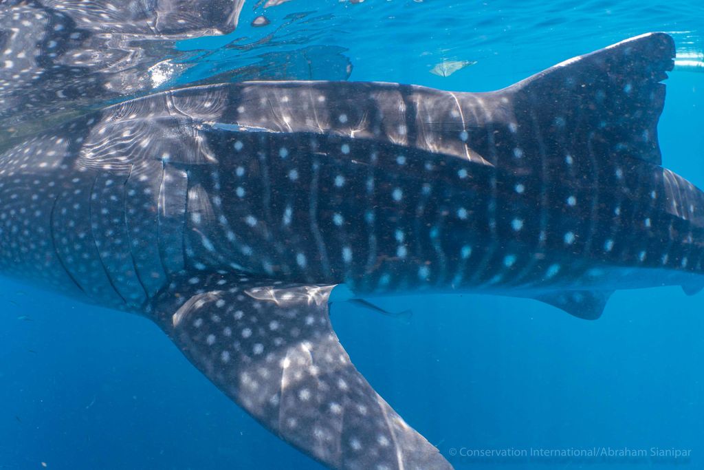 d195a761-531a-46fb-b459-ca186f3111a4