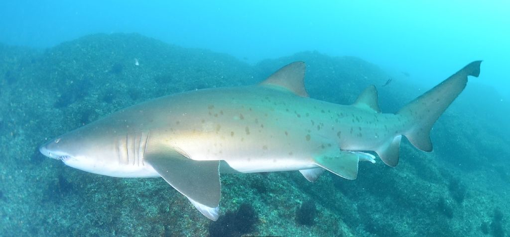 a7a25768-25a7-4b7f-aaa8-a4182032a77a