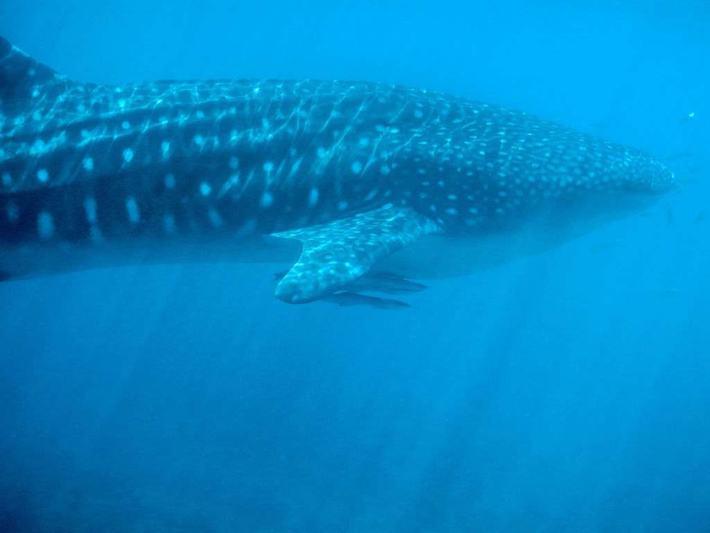 c4841e36-fffa-412f-bfc5-052cd17b7afd