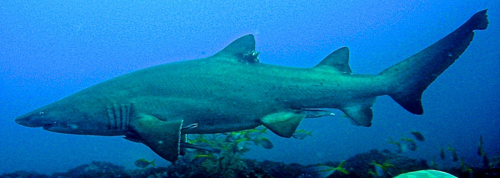 0ddf21d7-f482-4759-8b02-1f8d84f63f75