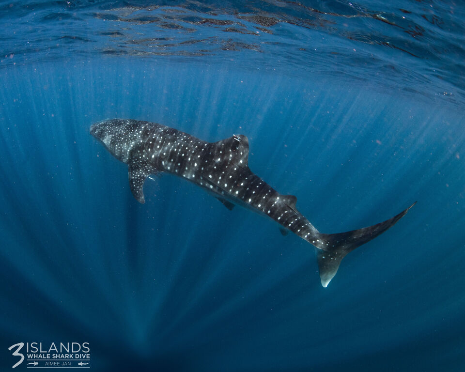 79bb6ee0-b60b-448f-b322-e0c2c3585fc7