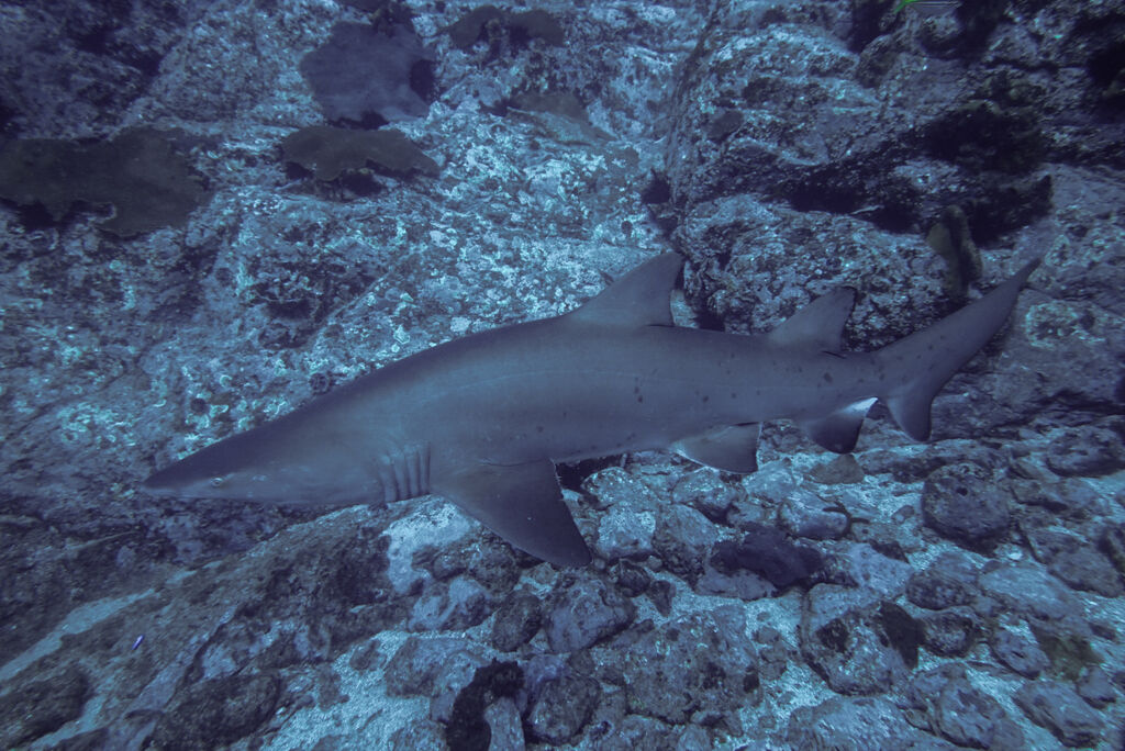 5b51f378-78a1-487f-8c6a-300b60885402