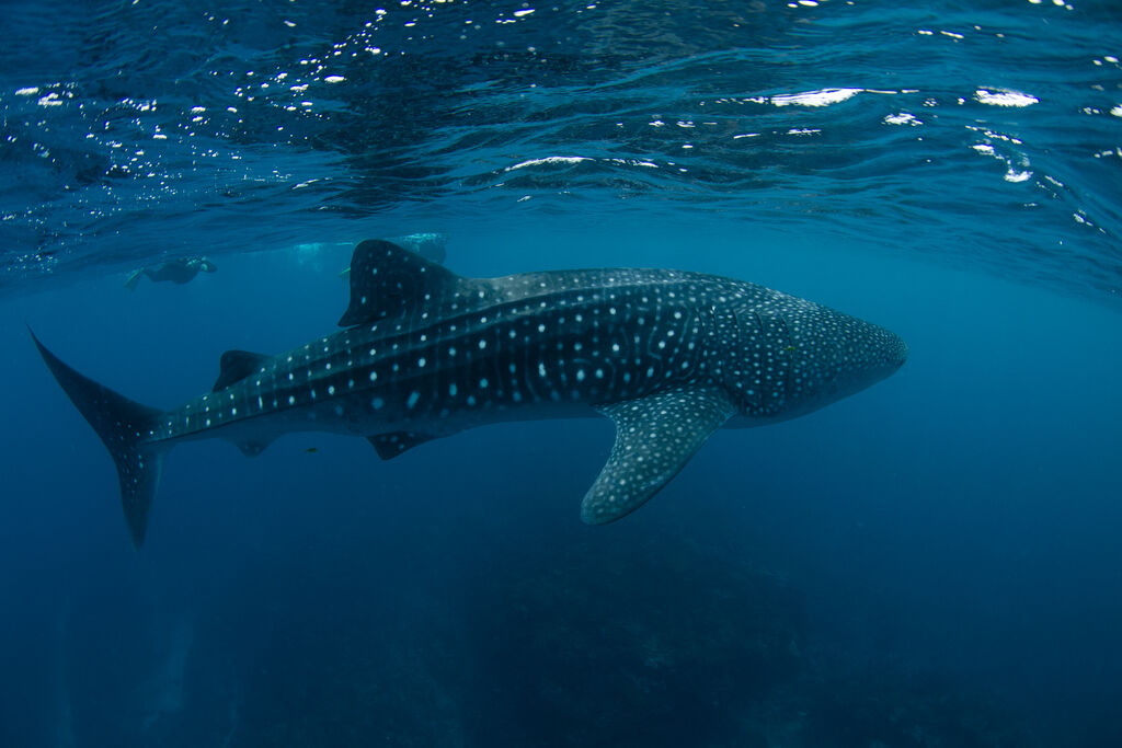 a9dc6512-c835-41b3-9cbe-6925e6e1d49a