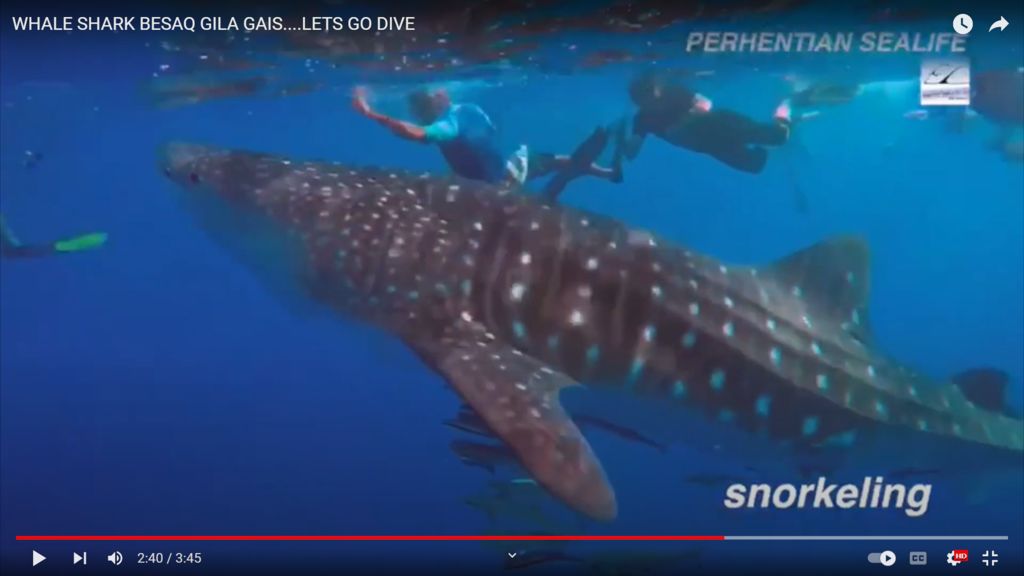 5005cb34-5860-492b-a9d5-91d9aa55f699