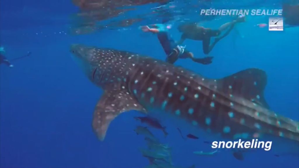 5005cb34-5860-492b-a9d5-91d9aa55f699