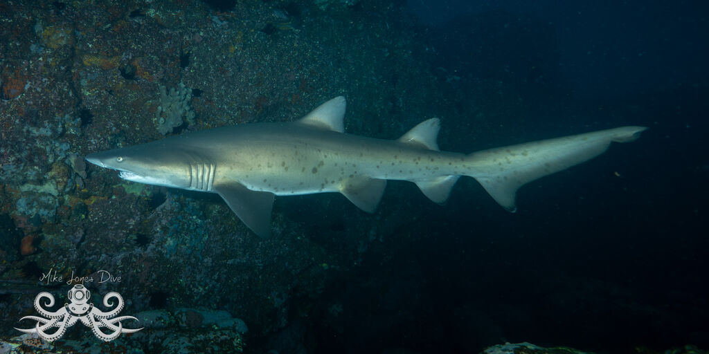 86288038-aaef-4318-ba15-1ba404348b18