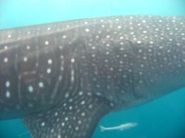 fe9ff0d4-a424-46cd-9edf-deadbe39d262