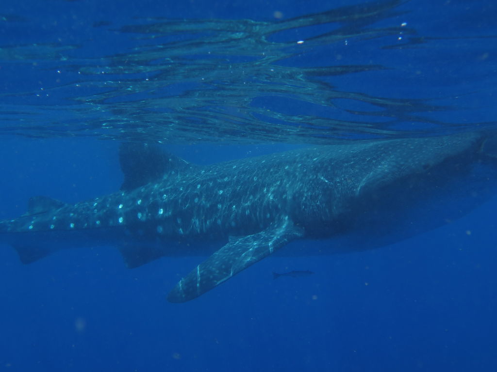 534b3d1f-72a9-4267-92f7-0fbf87b29b89