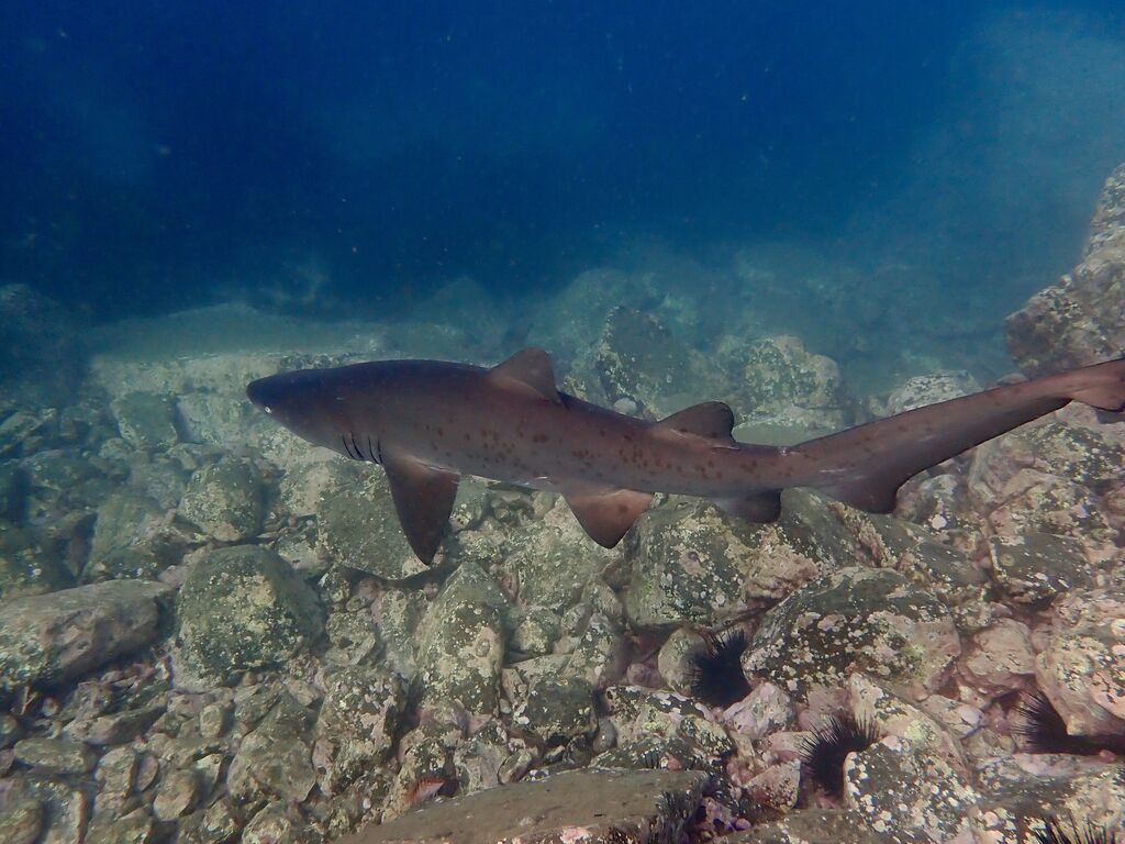 8cbfa3e7-9fa3-4399-8835-3cb3daa20afa