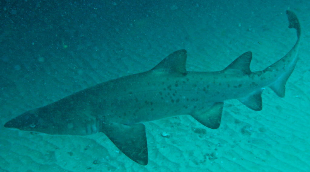 df44371a-af51-4031-b53b-9360417ea6d9