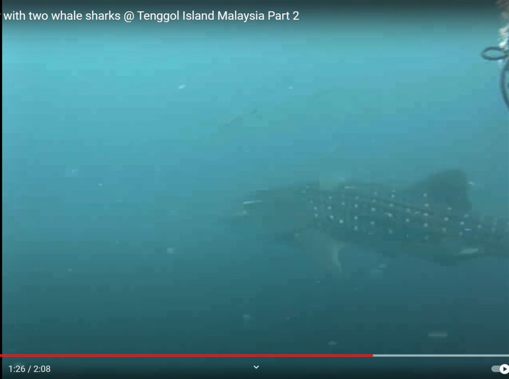 3fa4dc50-b0a2-4d47-a8e1-224f9cf53447