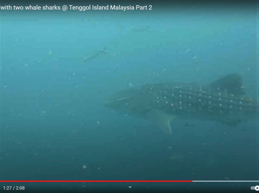 3fa4dc50-b0a2-4d47-a8e1-224f9cf53447