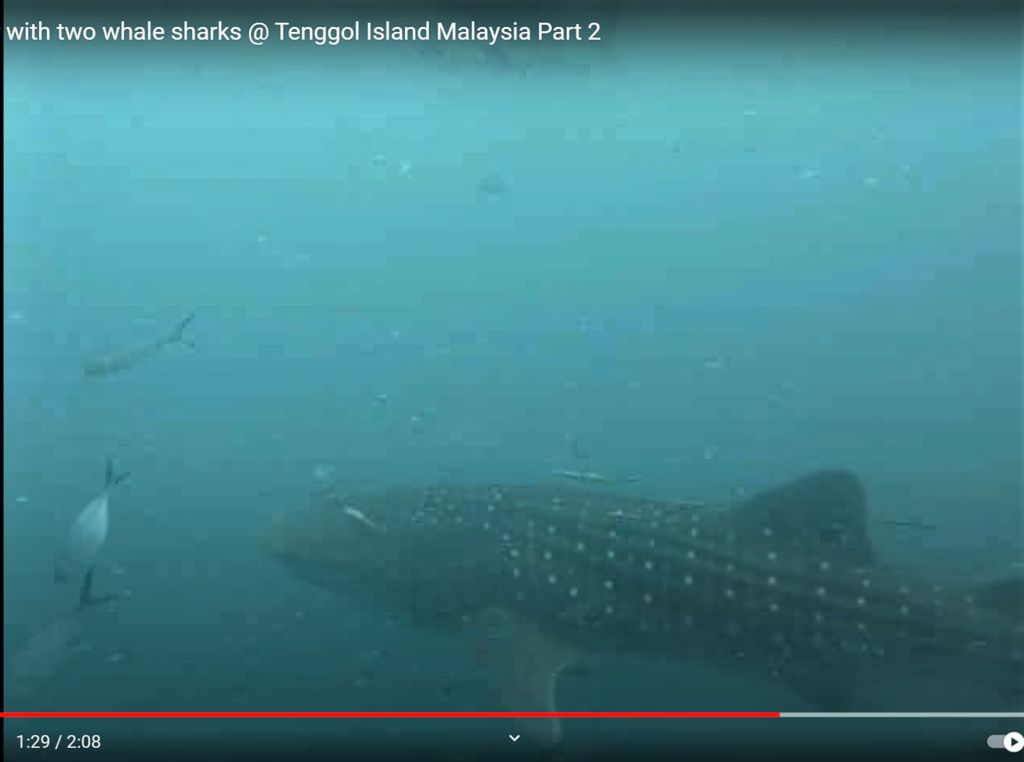 3fa4dc50-b0a2-4d47-a8e1-224f9cf53447