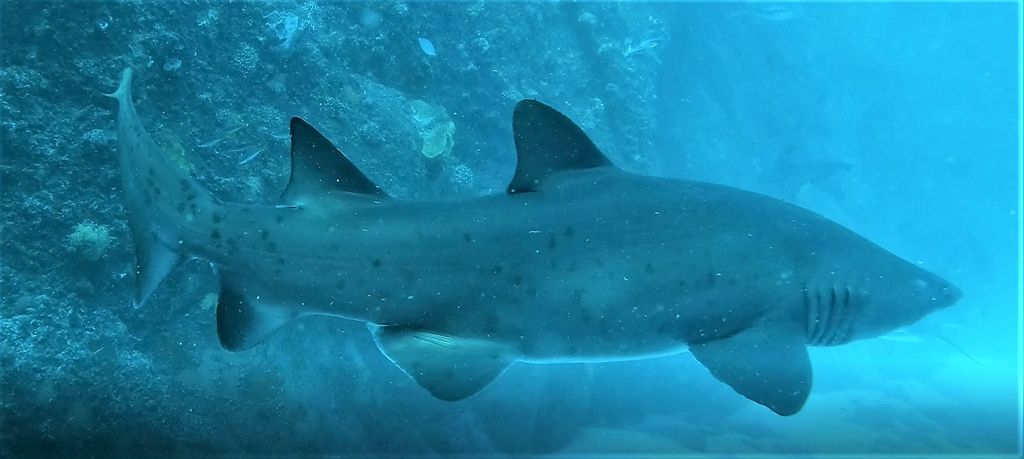 d34beb22-d011-4ba2-8565-3cd455f235ce