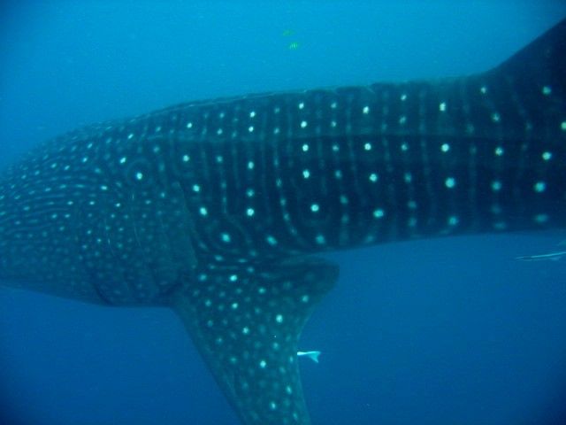 d547ca3b-e79f-4b35-b34f-128cd59056de