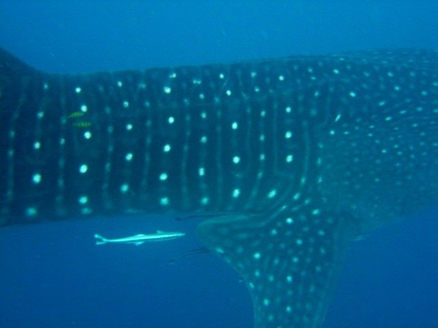 d547ca3b-e79f-4b35-b34f-128cd59056de