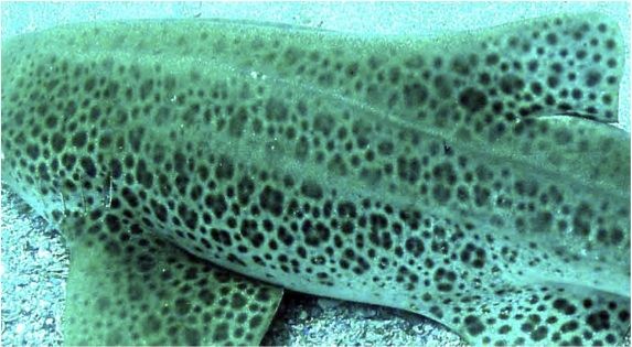 015b80a5-afb8-4be0-9e85-55dd2cc4e480