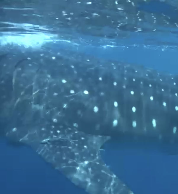 7202e1c1-4966-4b4b-8d98-adb61f4b2c69