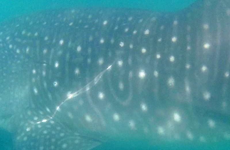 4c317b05-9990-46ac-b171-4f5ac55bb3b5