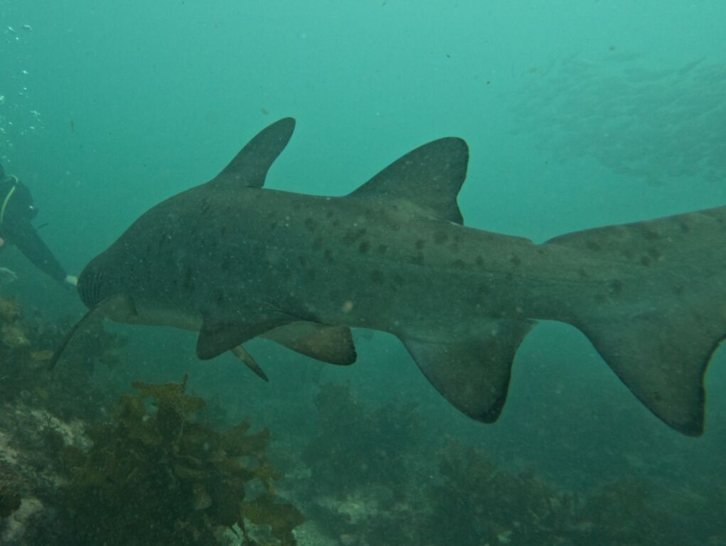 a1a6ae38-9629-4fec-b465-ba4bacb0ffc2