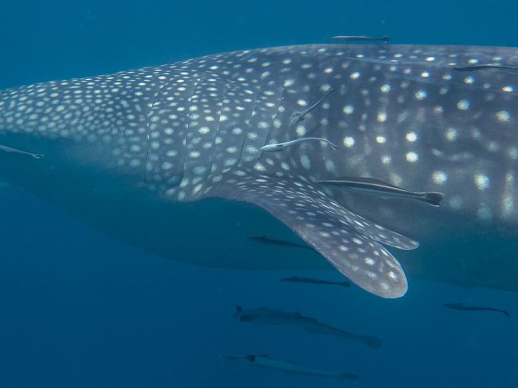 e4a33c2d-45f8-452e-8d7a-e5bed97eaf60