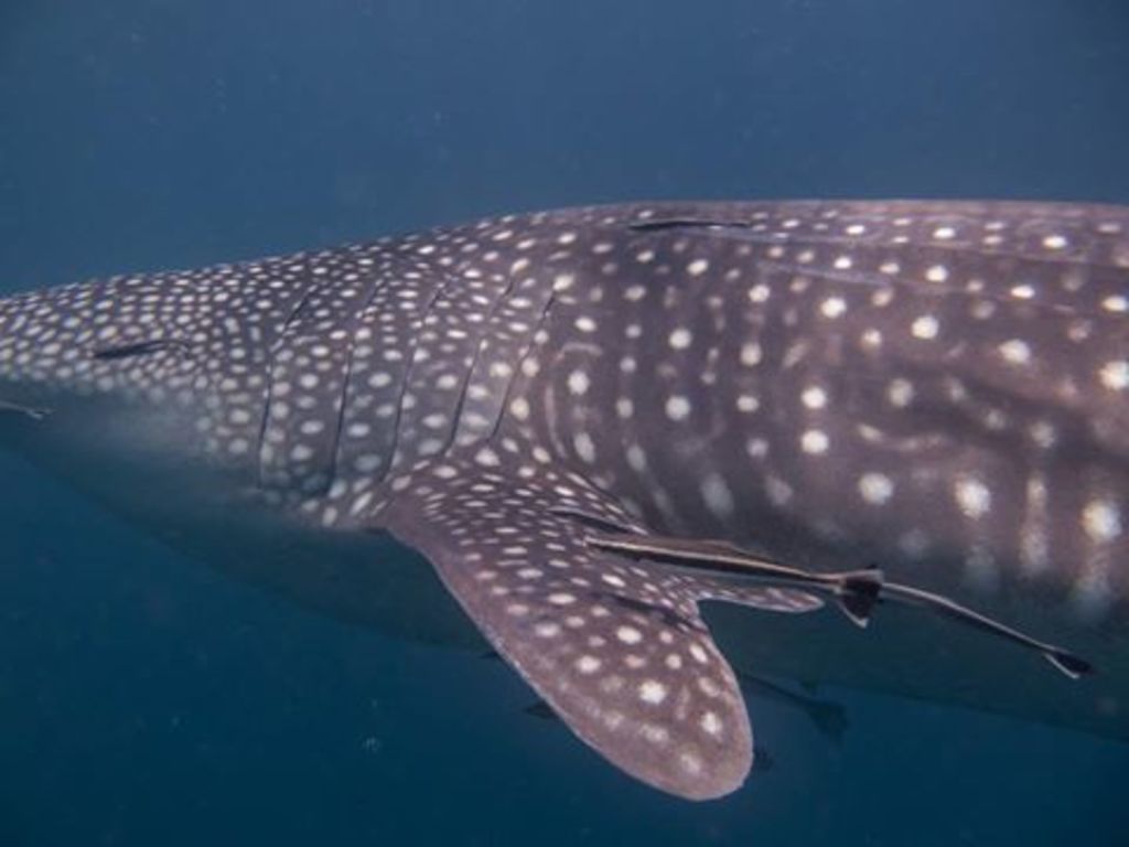 e4a33c2d-45f8-452e-8d7a-e5bed97eaf60