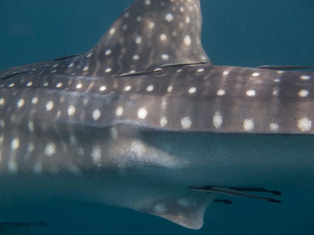 e4a33c2d-45f8-452e-8d7a-e5bed97eaf60