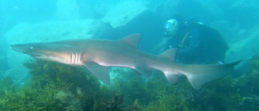 c0404fd8-16f1-41ee-86b5-31e571febed4