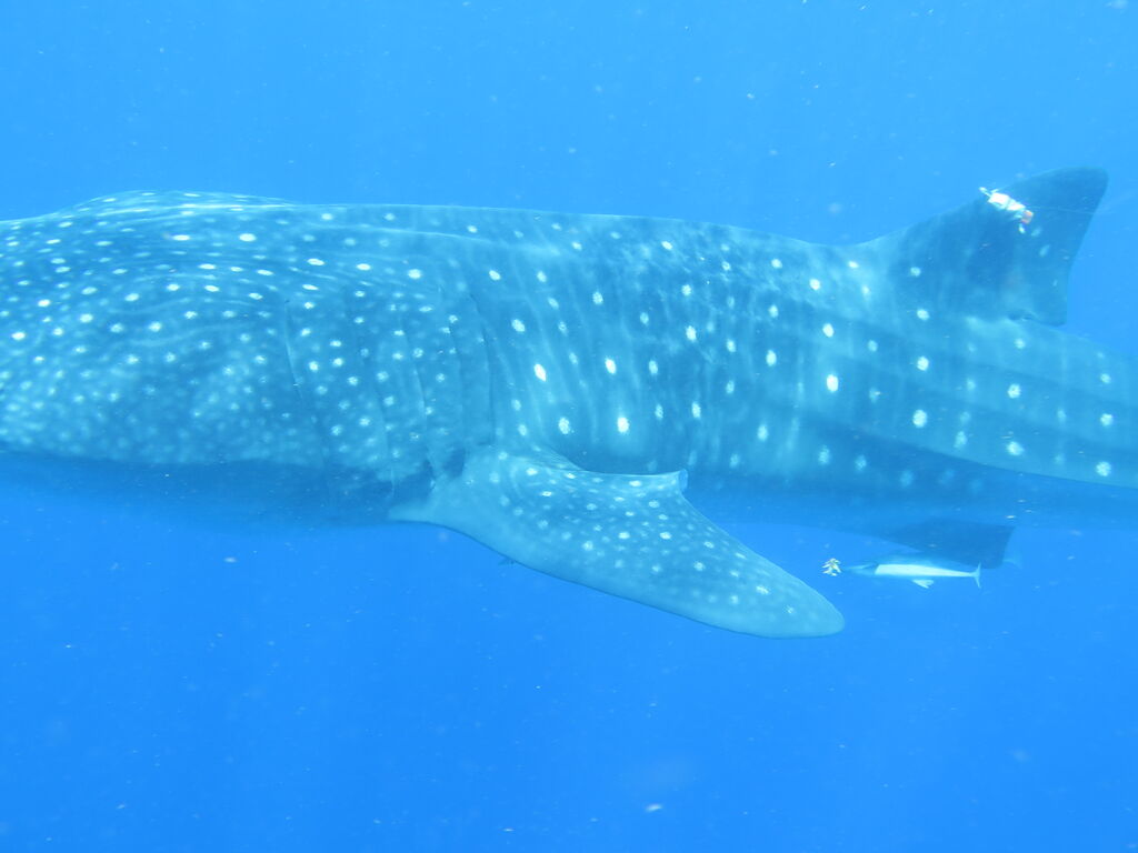 24ce5bd0-92f8-4f95-82db-59ca76719a19