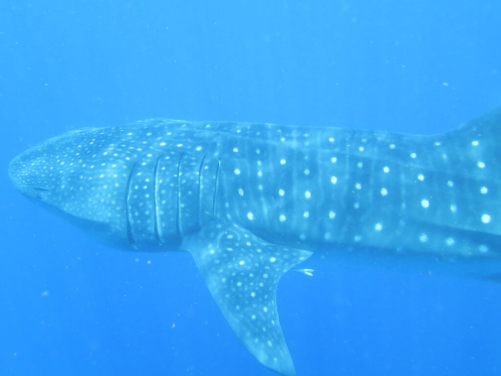 24ce5bd0-92f8-4f95-82db-59ca76719a19