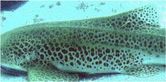 3a0349fb-672b-4029-842c-7262abd4d234