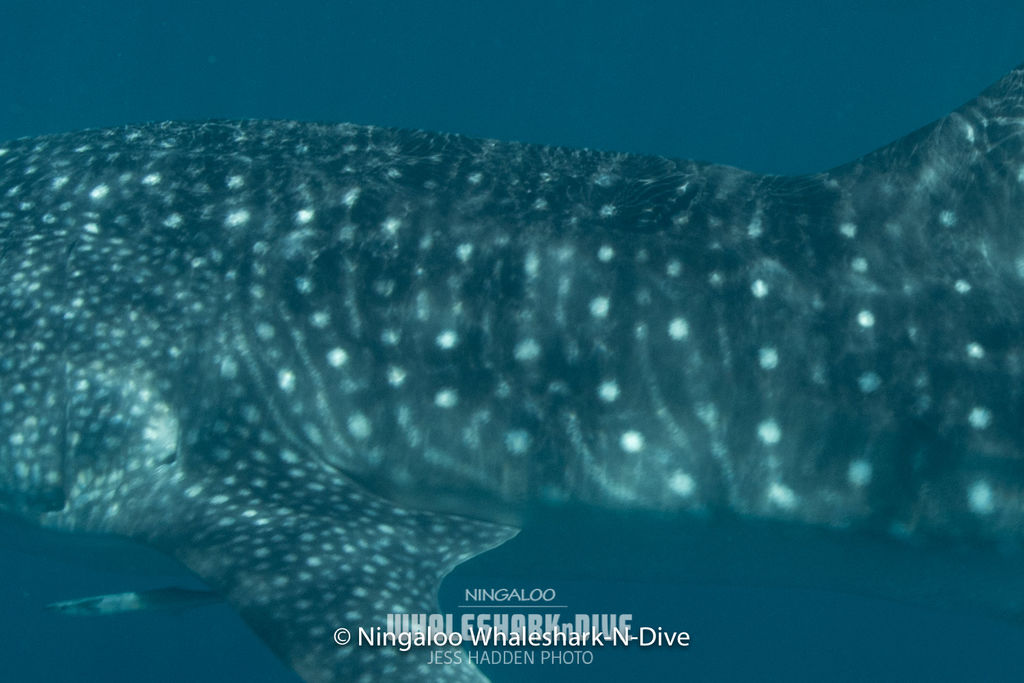 10b1dd2c-ac33-4c03-9a0e-ec7d03a9f169