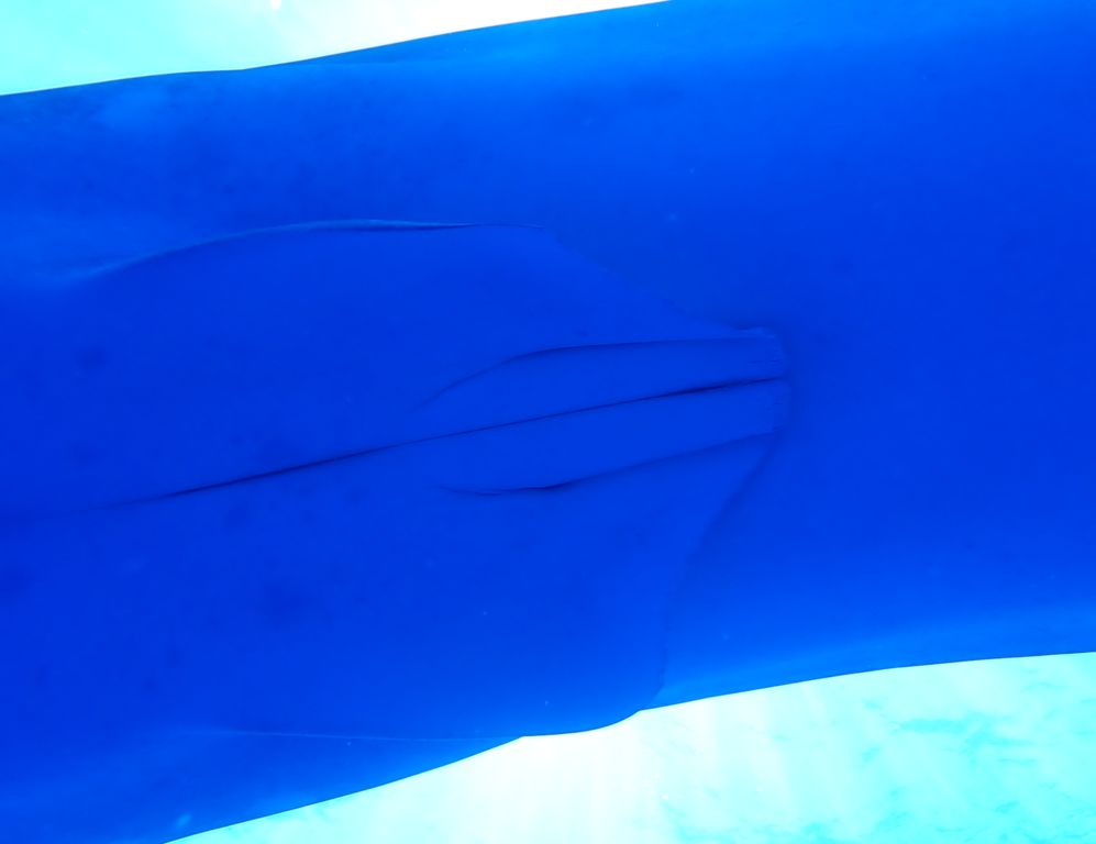 d61373ec-89de-48b5-b47d-550004317c1e