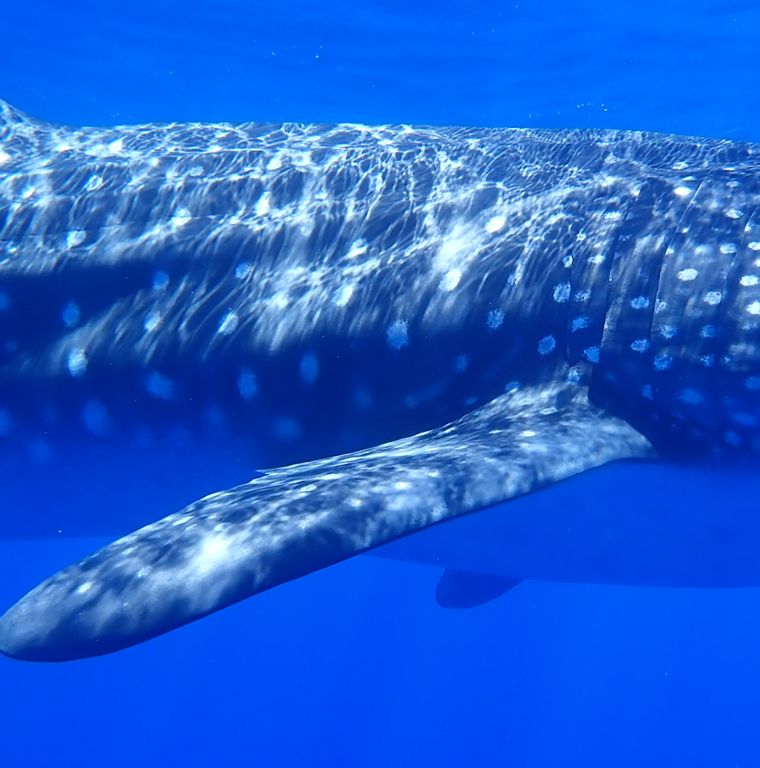 d61373ec-89de-48b5-b47d-550004317c1e