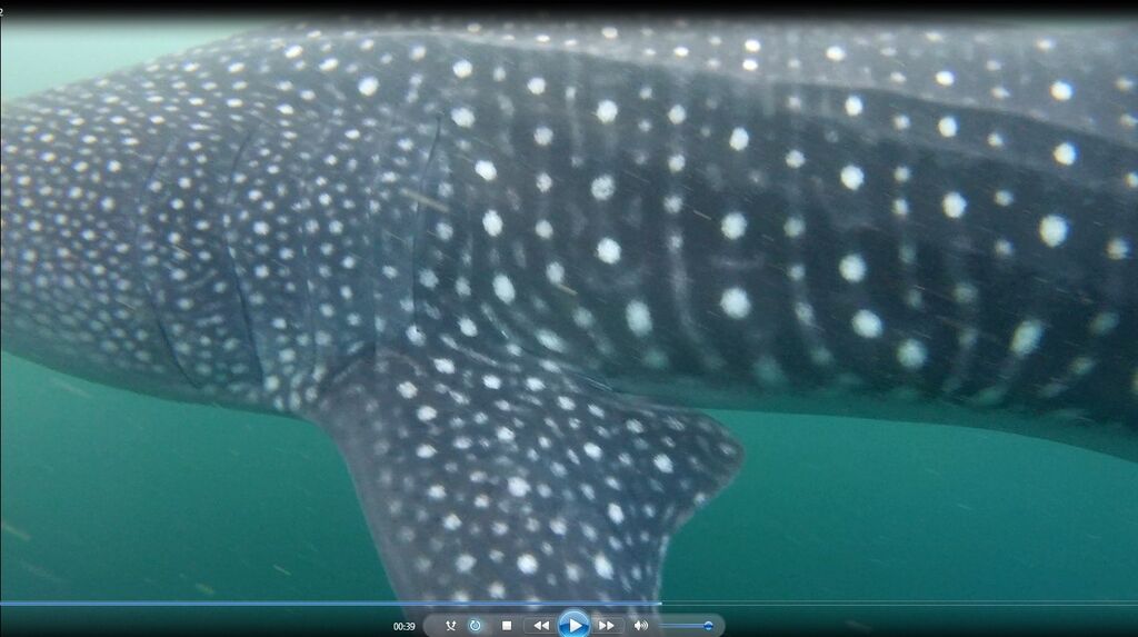 501a74da-1048-447e-84f4-18ea1fda4747