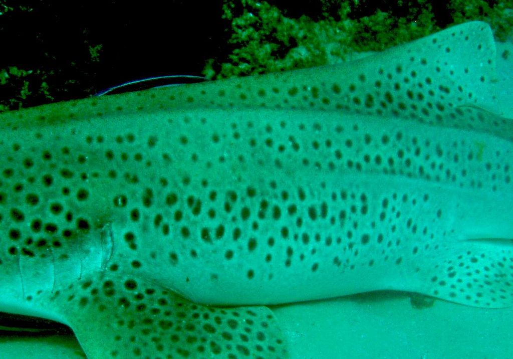 d879d71f-56ad-46de-bf70-90a1ae178ab5