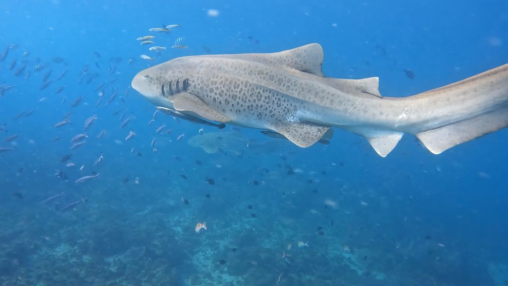 cfb0823e-1745-4129-a686-9b115666000c