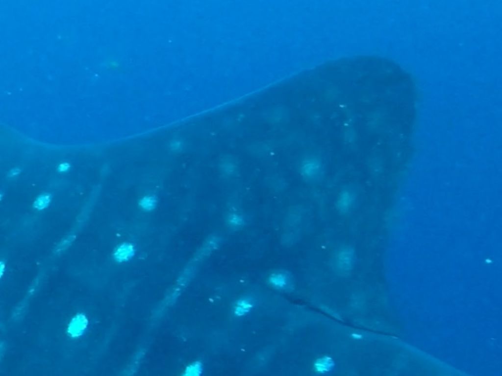 7ed39a61-4f31-4e0f-9c3b-a72af3375f27