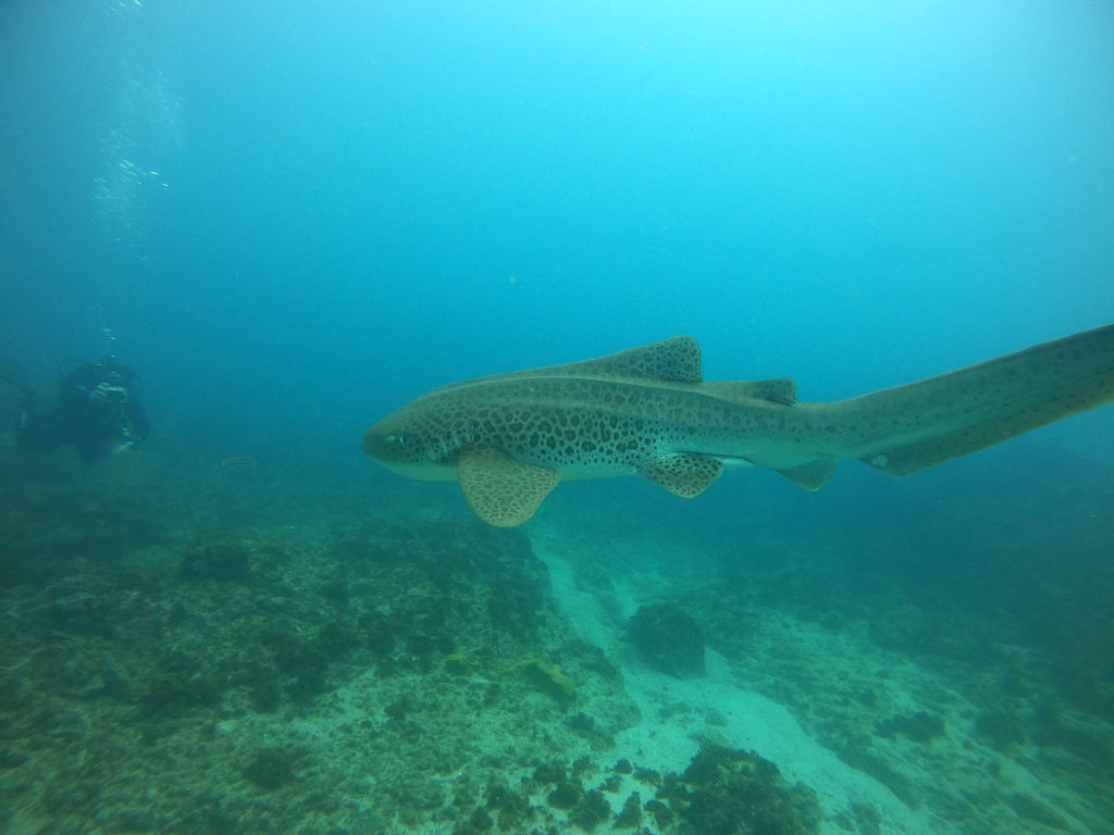 53dbf2b3-9ff8-4653-84be-51aa00bc505a