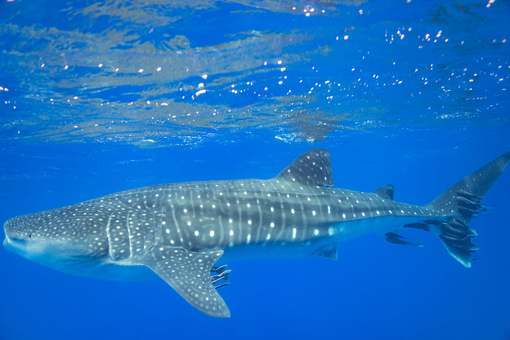 79ea57a1-de48-4c22-b17b-240d8e61fd55