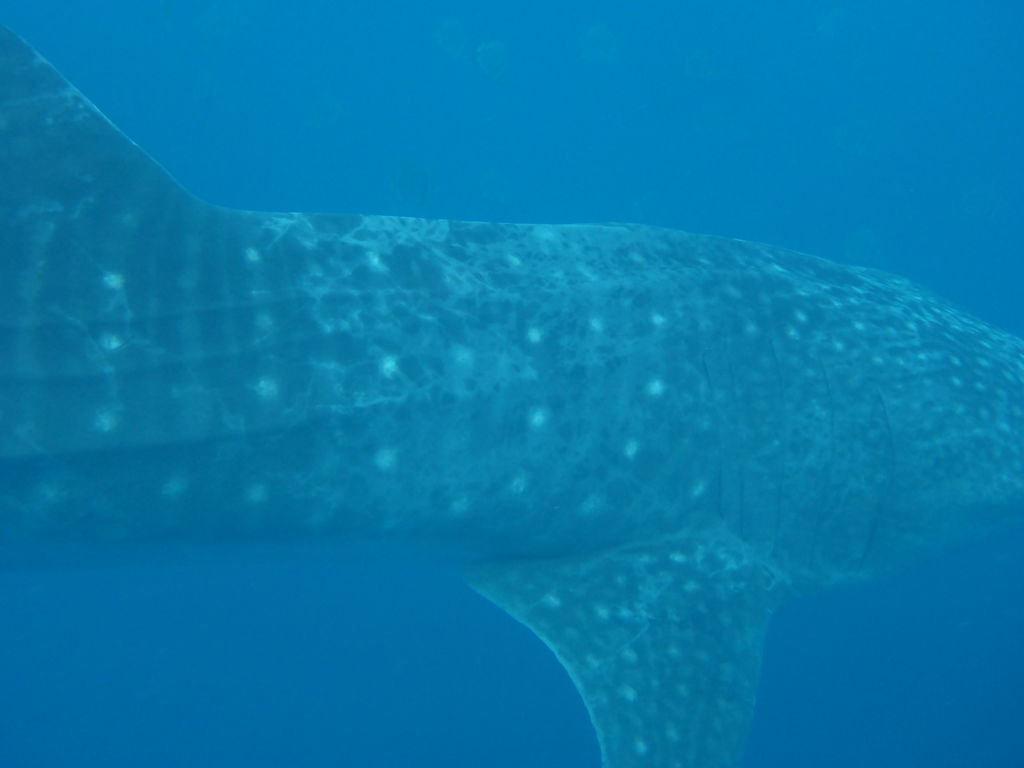 77e0fcdb-c35e-49f0-841d-34ccd626dd41