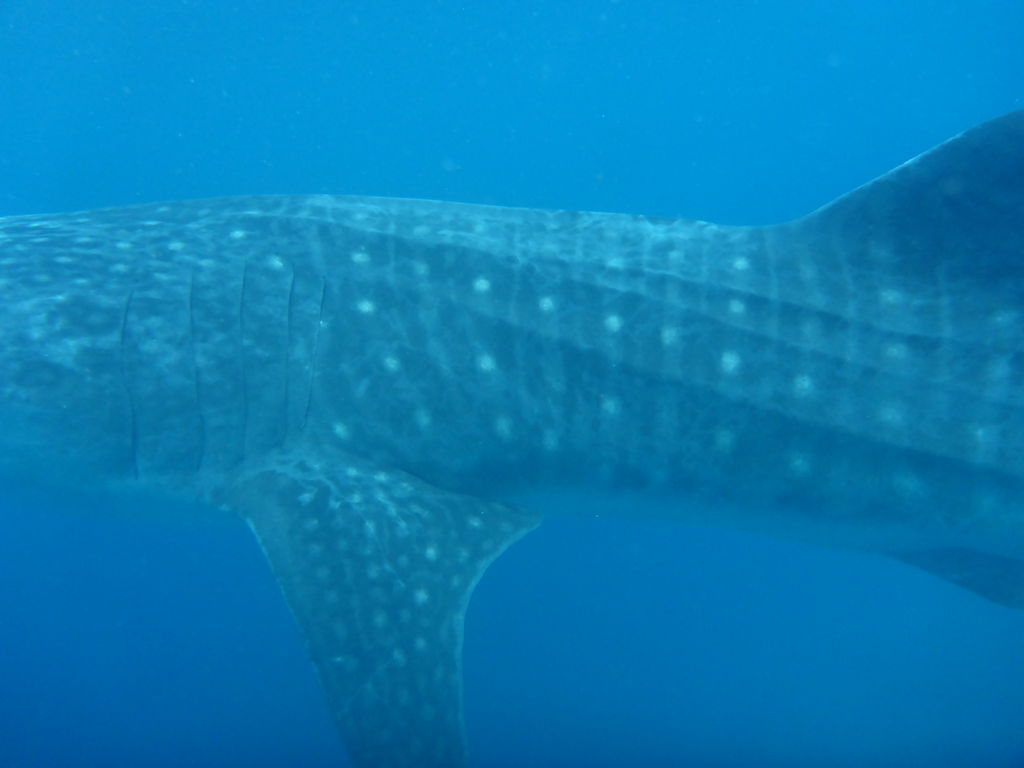 77e0fcdb-c35e-49f0-841d-34ccd626dd41