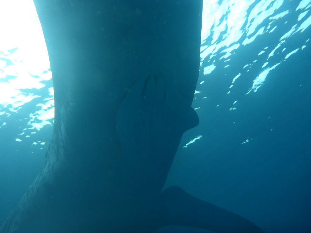 77e0fcdb-c35e-49f0-841d-34ccd626dd41