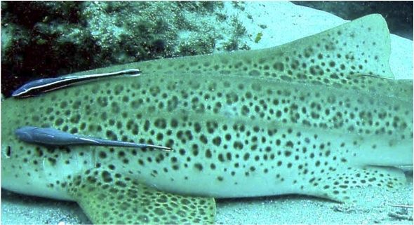 5e7bc46e-889f-4211-b727-e07c48e9f6f9